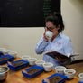 Ceiba | Guatemala Core Coffee | 25 lb | A-7160
