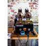 The Comprehensive Coffee Sample Roasting Course Companion Workbook