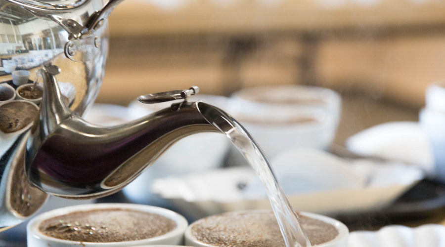 Q Arabica Grader Course and Exams