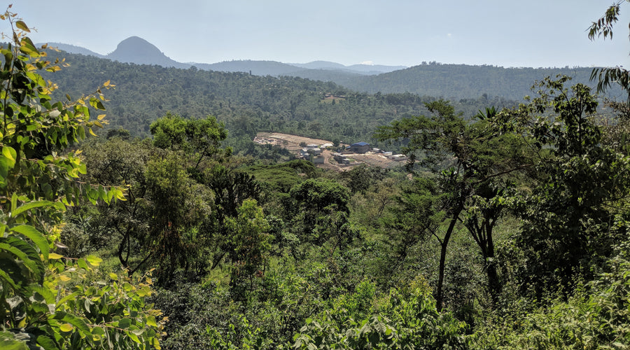 Ethiopia Single Producer Program