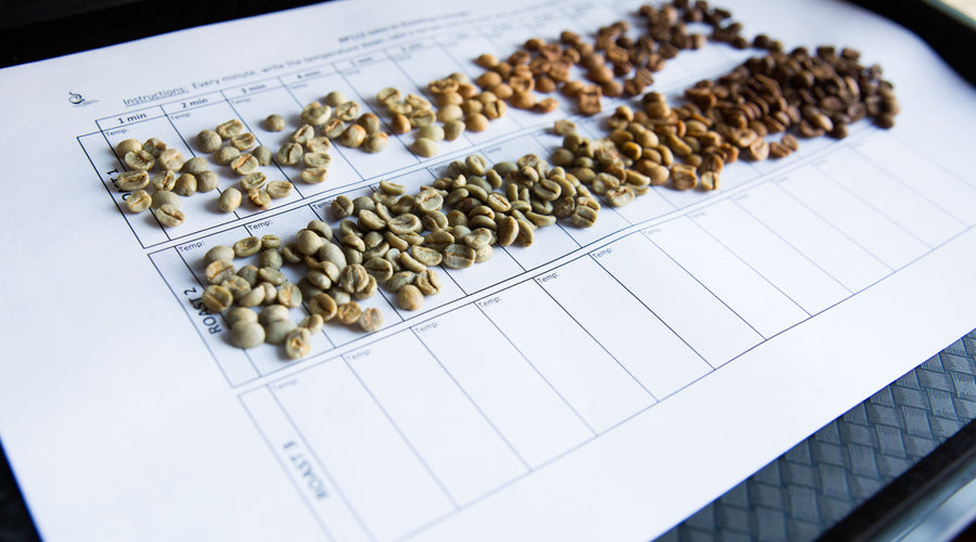 What Coffee Roasters Need to Know about Food Safety