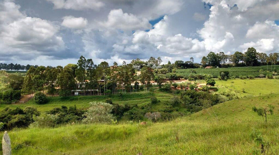 The Certifica Minas Cafe Program — Brazil