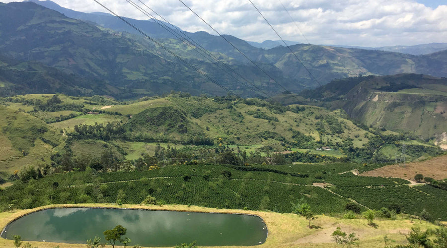Farm Tour: Hacienda El Obraje
