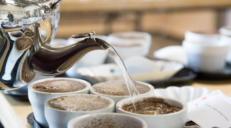 Ikawa x Ally Coffee - How Innovations in Processing Impact Your Roasting Decisions