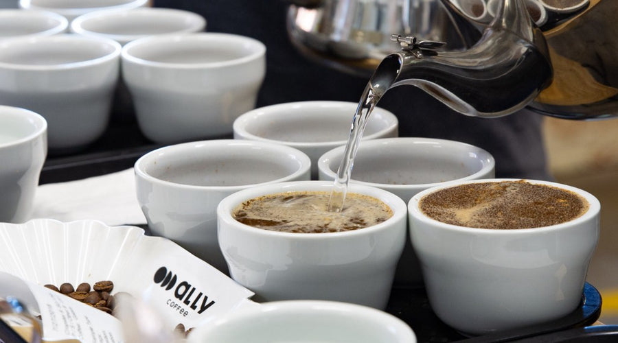 Becoming a Q Arabica Grader