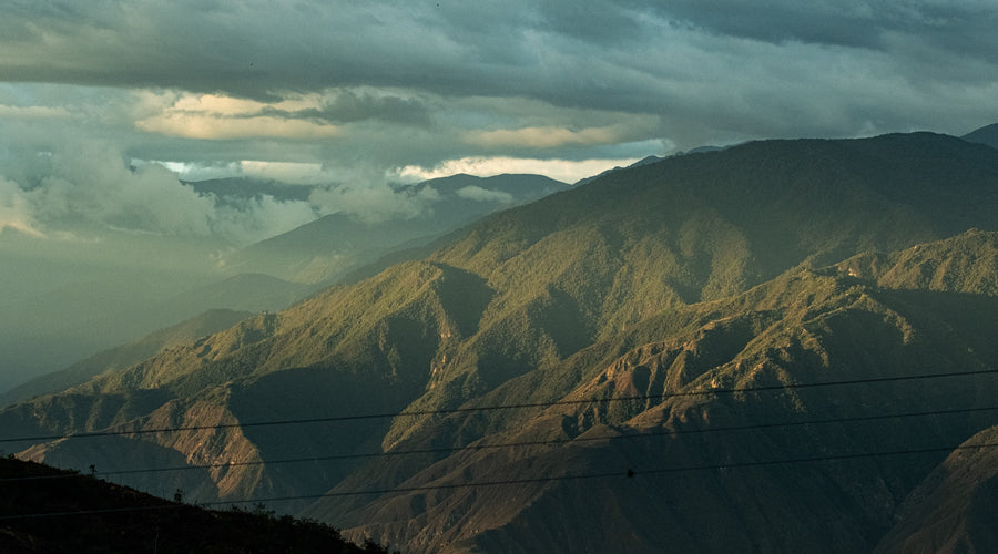 Ally Coffee Statement Regarding the Current Situation in Colombia