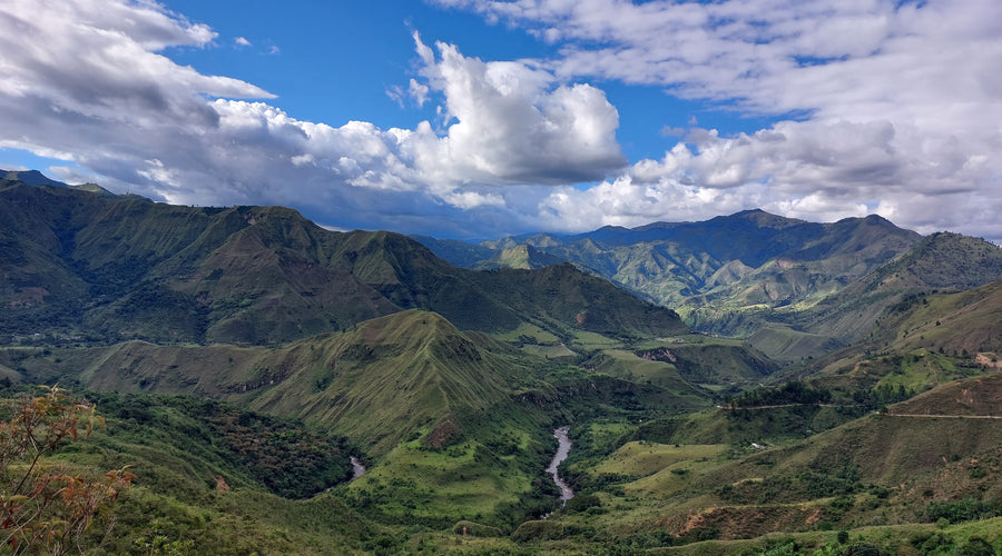 Origin Report - Colombia