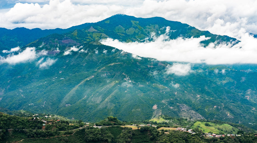 Post-Harvest Origin Report - Costa Rica