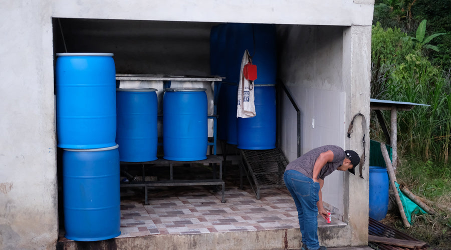 Producer Insights: Infused and Co-fermented Coffees