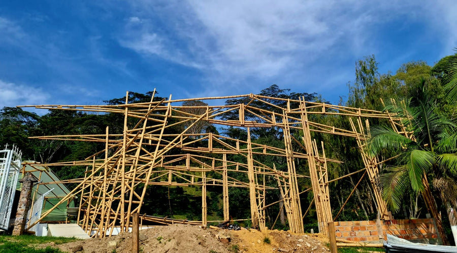 El Puente - Building Bridges in Huila, Colombia