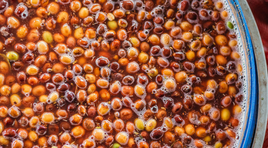 Coffee Processing: Washed, Natural, In-Between, and Beyond