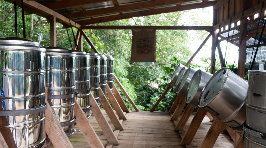 Producer Insights: Anaerobic Fermentation in Coffee Processing