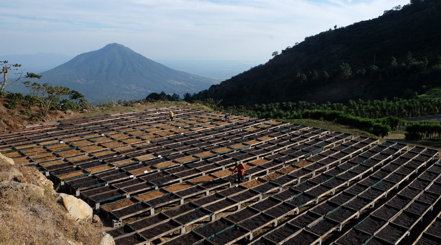 Sourcing in Central America