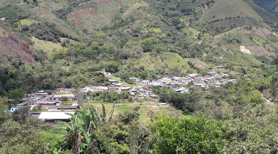 Tierradentro: Coffee from ASPROFECH