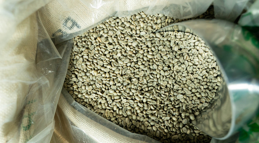 How to Store Your Green Coffee