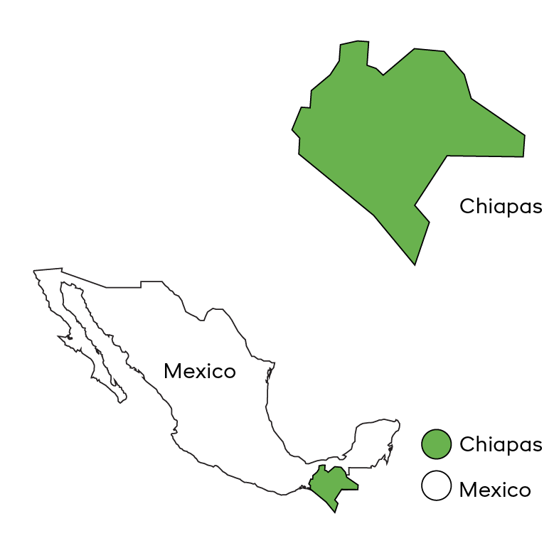 Ciprés | México Core Coffee | 25 lb | A-7096
