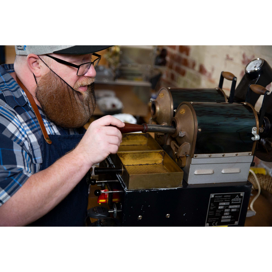 The Comprehensive Coffee Sample Roasting Course | Ally Coffee